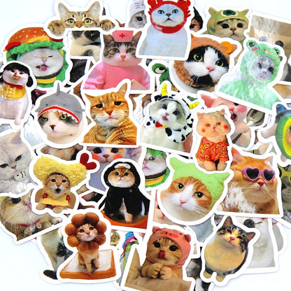 100 Stück Süße Katzen Sticker Set